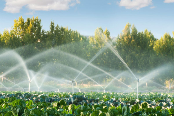 福州慶誠灌溉設備有限公司邀您共聚南方節水灌溉及溫室展覽會